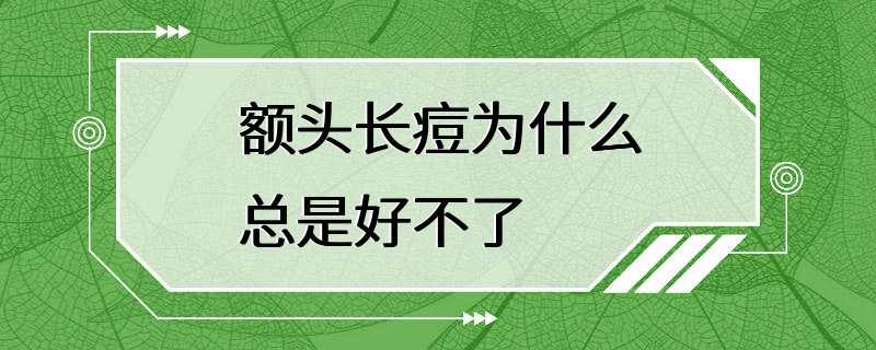 额头长痘为什么总是好不了