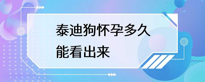 泰迪狗怀孕多久能看出来