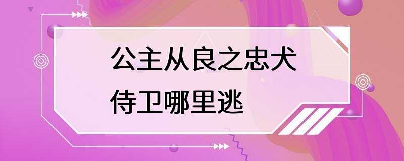 公主从良之忠犬侍卫哪里逃