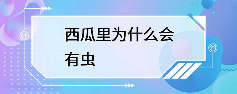 西瓜里为什么会有虫