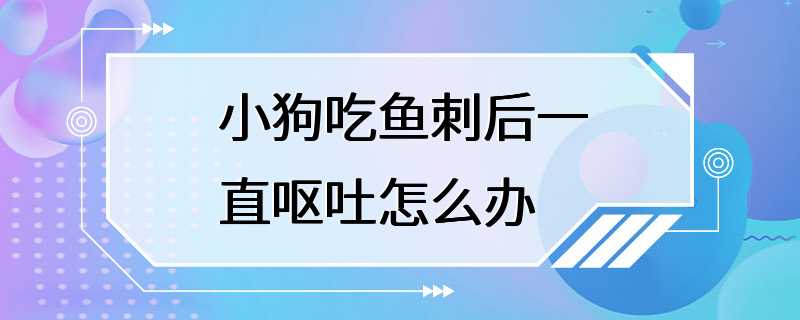 小狗吃鱼刺后一直呕吐怎么办