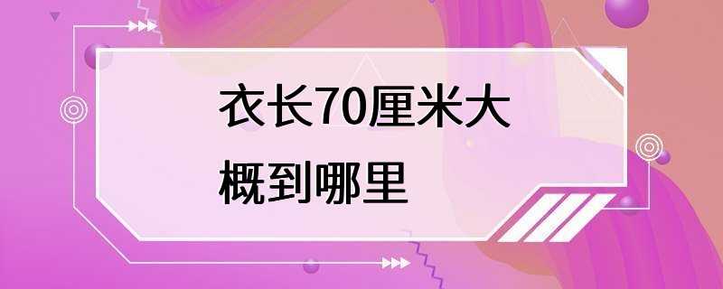 衣长70厘米大概到哪里