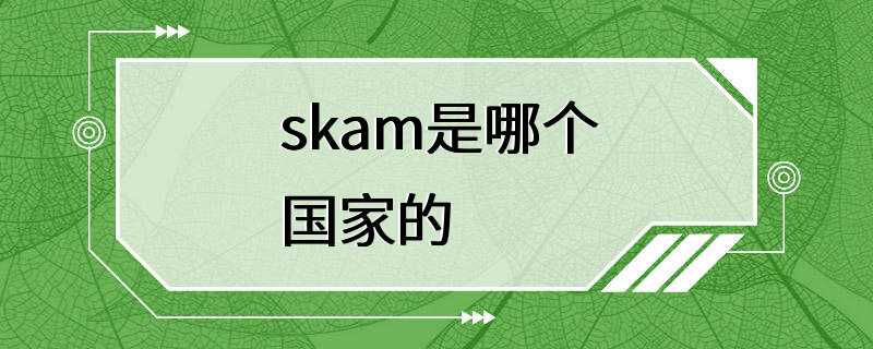 skam是哪个国家的