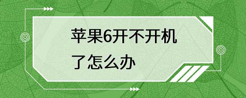 苹果6开不开机了怎么办