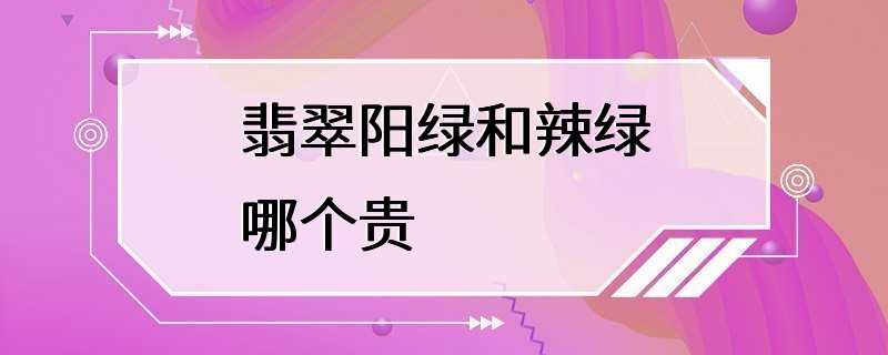 翡翠阳绿和辣绿哪个贵