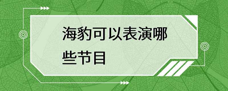 海豹可以表演哪些节目