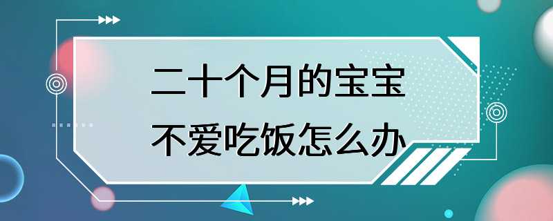 二十个月的宝宝不爱吃饭怎么办