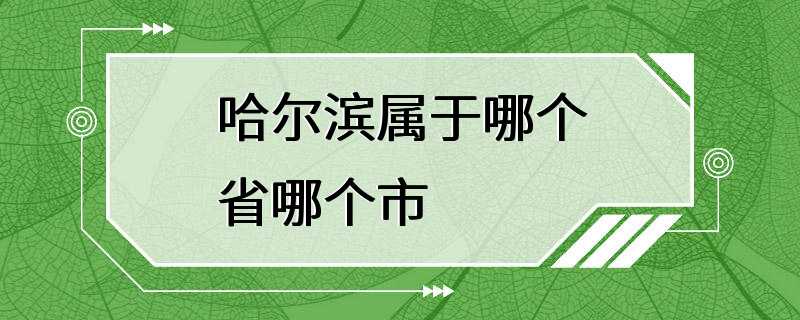 哈尔滨属于哪个省哪个市