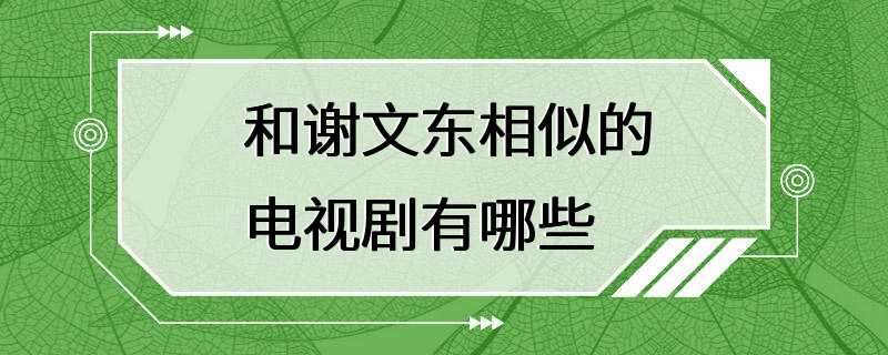 和谢文东相似的电视剧有哪些