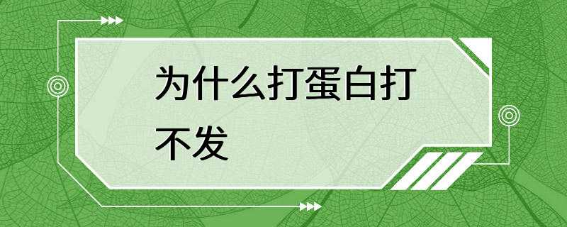 为什么打蛋白打不发