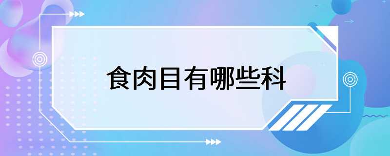 食肉目有哪些科