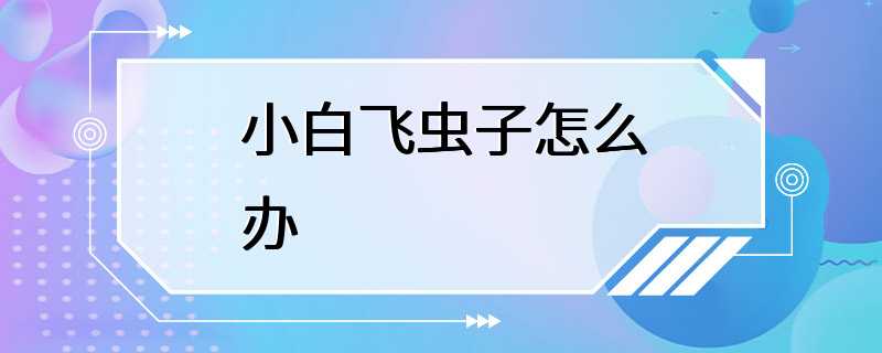 小白飞虫子怎么办