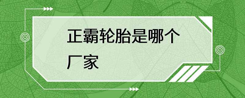 正霸轮胎是哪个厂家