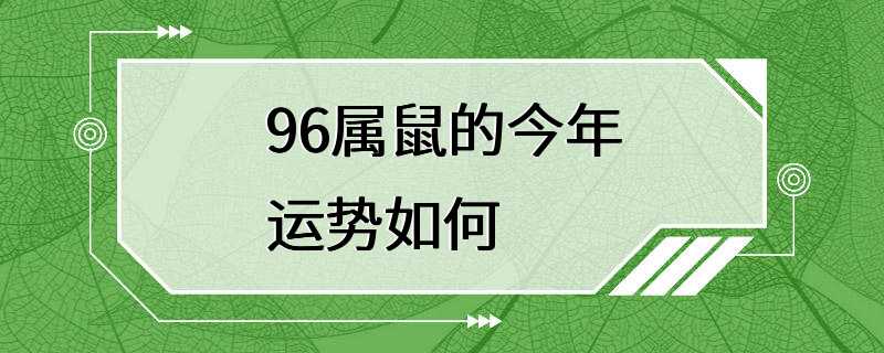 96属鼠的今年运势如何