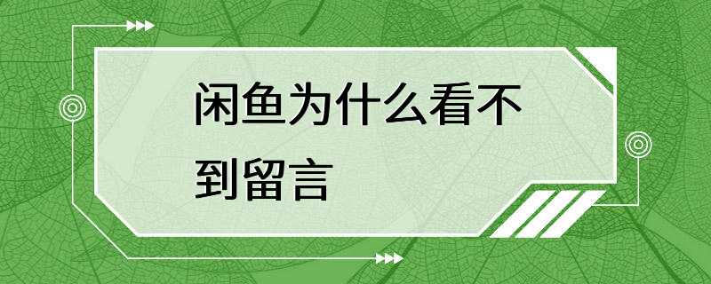 闲鱼为什么看不到留言