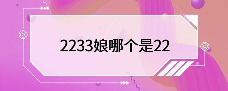 2233娘哪个是22