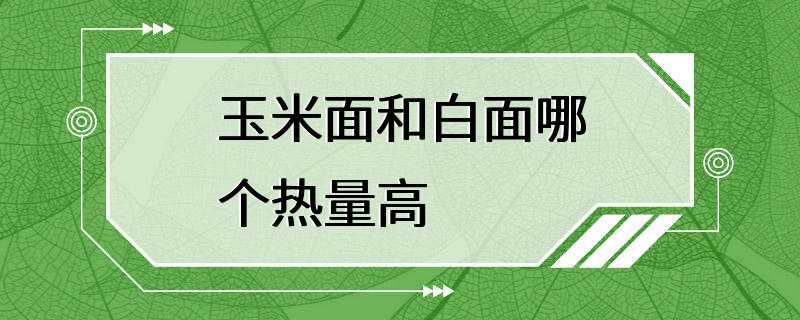 玉米面和白面哪个热量高