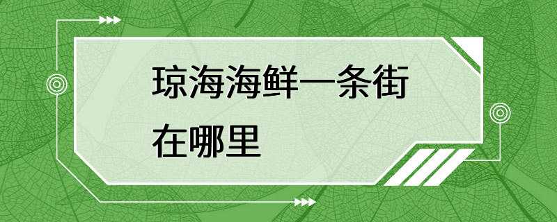 琼海海鲜一条街在哪里