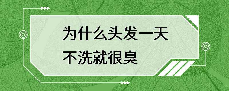 为什么头发一天不洗就很臭