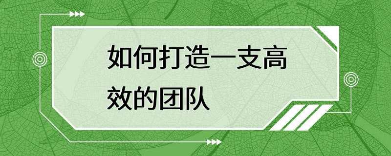 如何打造一支高效的团队