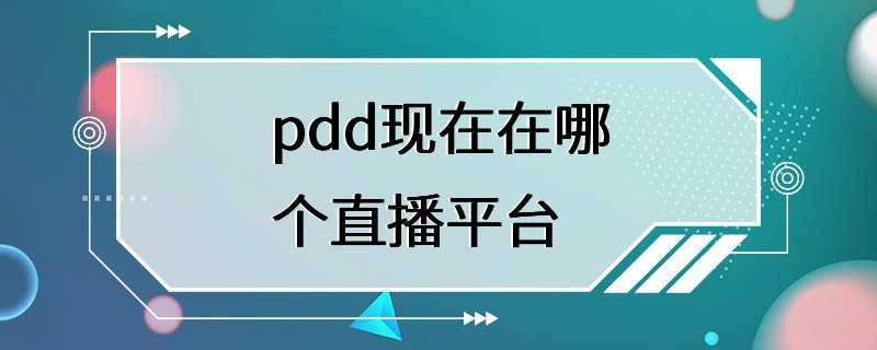 pdd现在在哪个直播平台