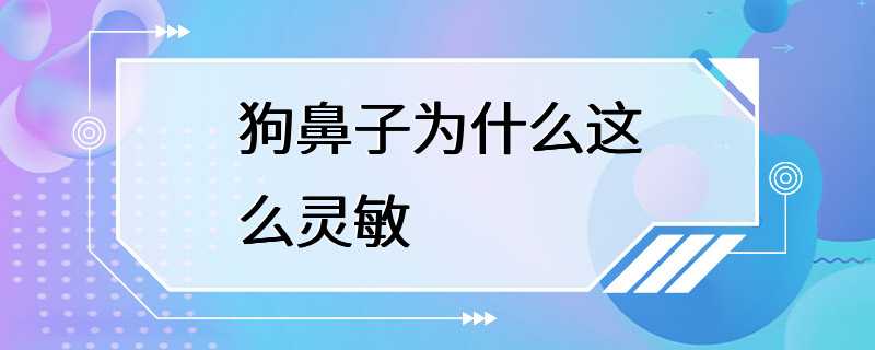 狗鼻子为什么这么灵敏