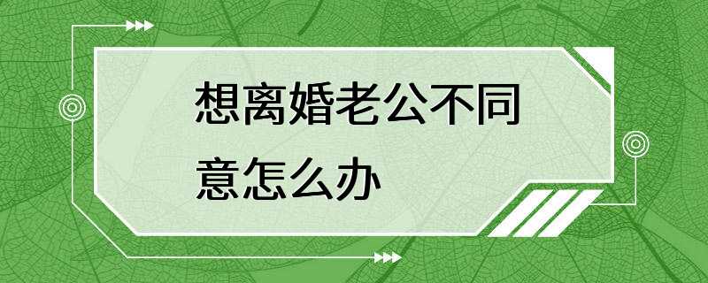 想离婚老公不同意怎么办