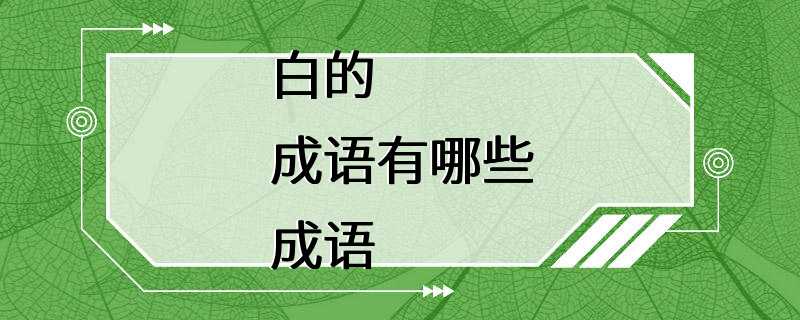 白的成语有哪些成语