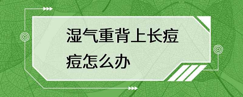 湿气重背上长痘痘怎么办