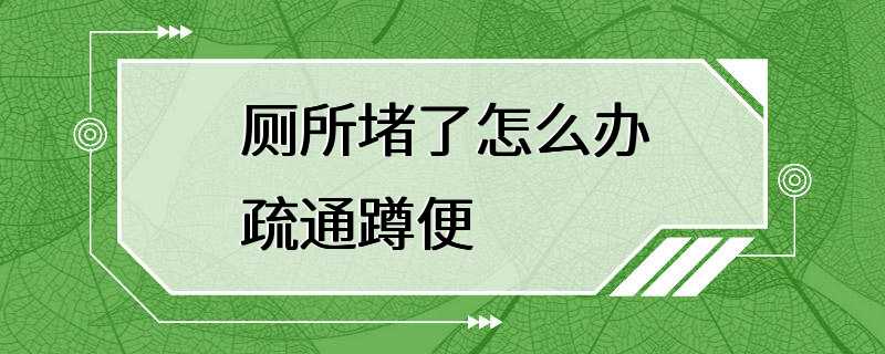 厕所堵了怎么办疏通蹲便