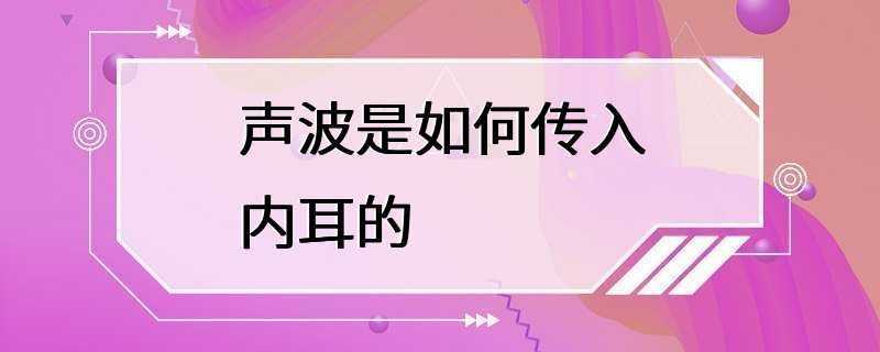 声波是如何传入内耳的