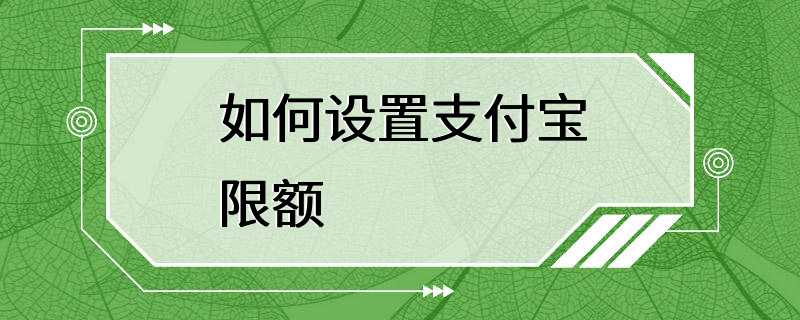 如何设置支付宝限额