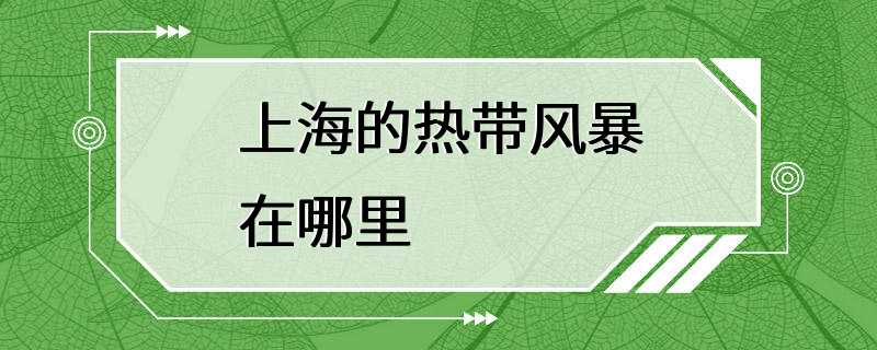 上海的热带风暴在哪里