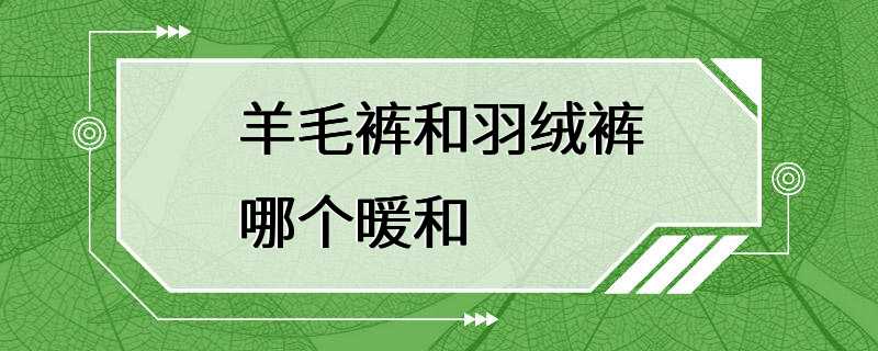 羊毛裤和羽绒裤哪个暖和