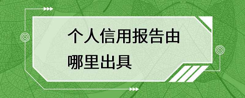 个人信用报告由哪里出具