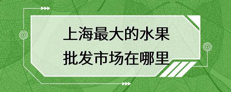 上海最大的水果批发市场在哪里