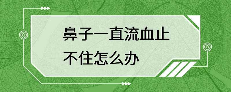 鼻子一直流血止不住怎么办