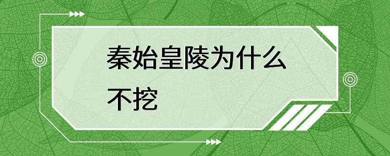 秦始皇陵为什么不挖