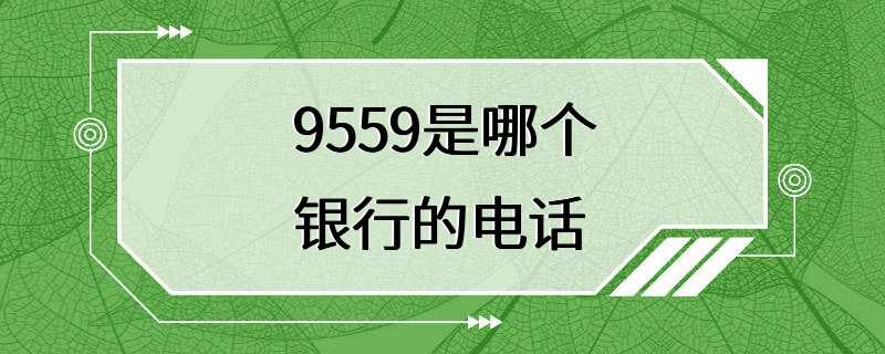 9559是哪个银行的电话