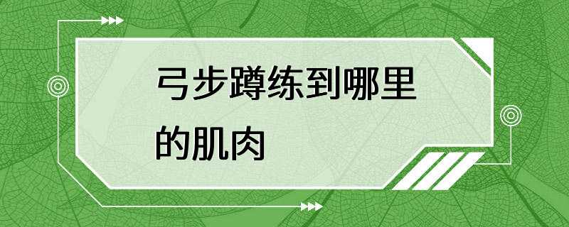 弓步蹲练到哪里的肌肉