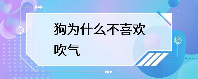 狗为什么不喜欢吹气