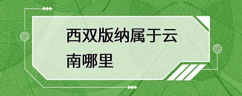 西双版纳属于云南哪里