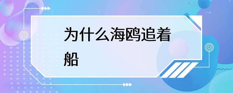 为什么海鸥追着船