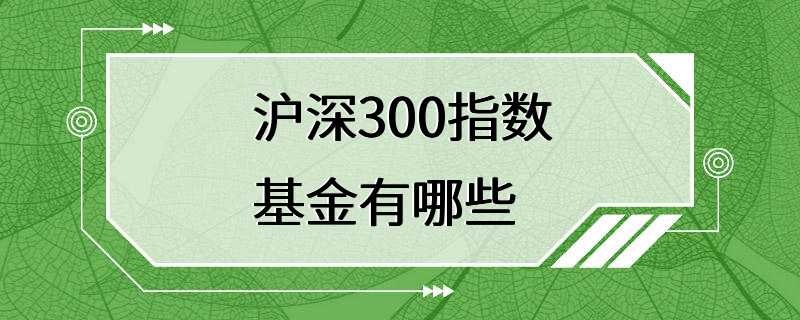 沪深300指数基金有哪些