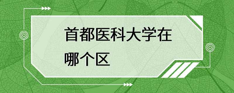 首都医科大学在哪个区