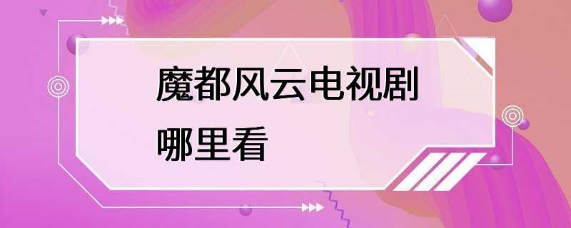 魔都风云电视剧哪里看