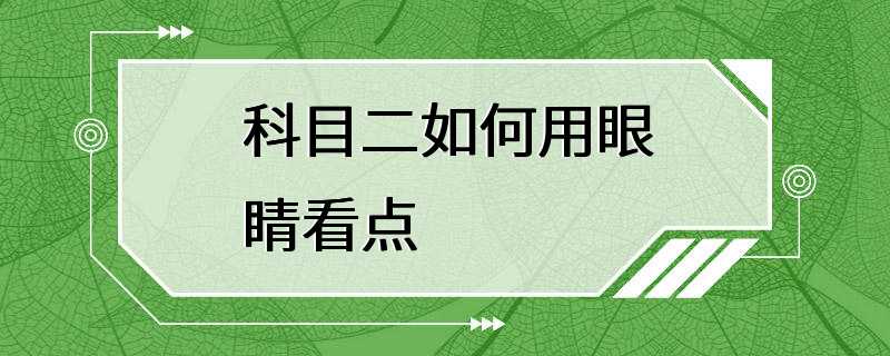 科目二如何用眼睛看点