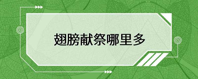 翅膀献祭哪里多