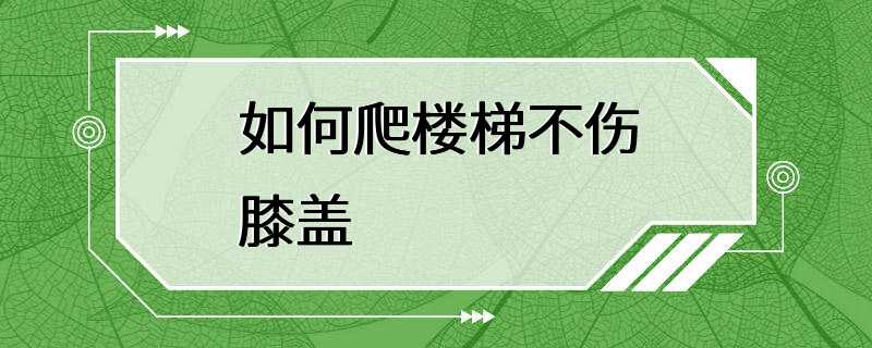 如何爬楼梯不伤膝盖