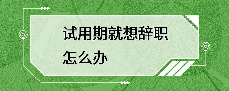 试用期就想辞职怎么办